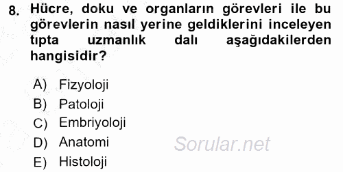 Sağlık Kurumları Yönetimi 2 2016 - 2017 Ara Sınavı 8.Soru