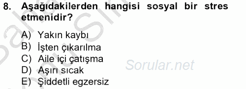 Çatışma ve Stres Yönetimi 2 2013 - 2014 Dönem Sonu Sınavı 8.Soru