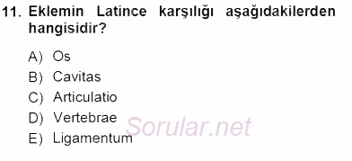 Tıbbi Terminoloji 2013 - 2014 Tek Ders Sınavı 11.Soru