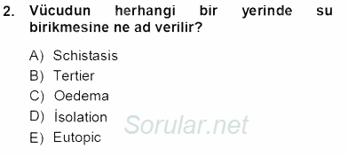 Tıbbi Terminoloji 2013 - 2014 Tek Ders Sınavı 2.Soru