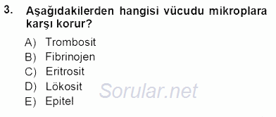 Tıbbi Terminoloji 2013 - 2014 Tek Ders Sınavı 3.Soru