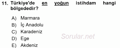 İstihdam ve İşsizlik 2017 - 2018 Dönem Sonu Sınavı 11.Soru