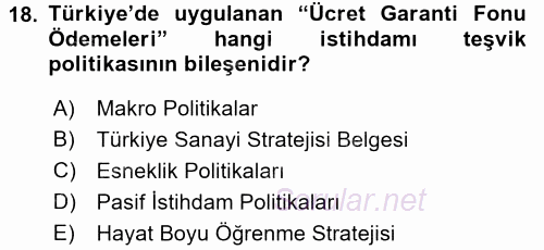 İstihdam ve İşsizlik 2017 - 2018 Dönem Sonu Sınavı 18.Soru