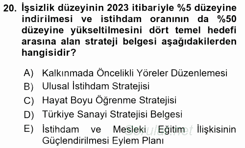 İstihdam ve İşsizlik 2017 - 2018 Dönem Sonu Sınavı 20.Soru