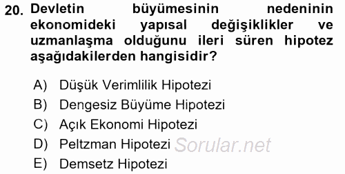 Kamu Ekonomisi 1 2016 - 2017 Ara Sınavı 20.Soru