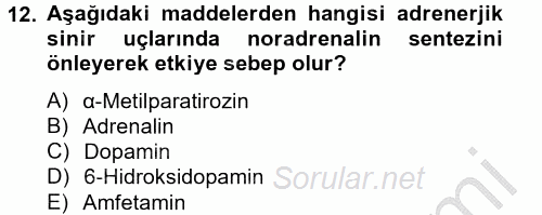 Temel Veteriner Farmakoloji ve Toksikoloji 2014 - 2015 Ara Sınavı 12.Soru