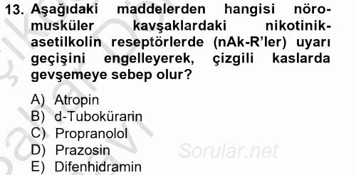 Temel Veteriner Farmakoloji ve Toksikoloji 2014 - 2015 Ara Sınavı 13.Soru