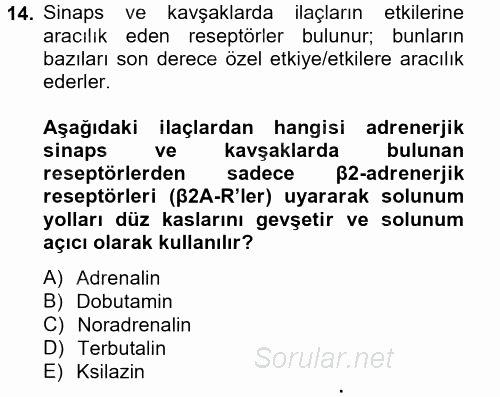 Temel Veteriner Farmakoloji ve Toksikoloji 2014 - 2015 Ara Sınavı 14.Soru