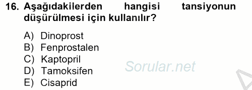 Temel Veteriner Farmakoloji ve Toksikoloji 2014 - 2015 Ara Sınavı 16.Soru