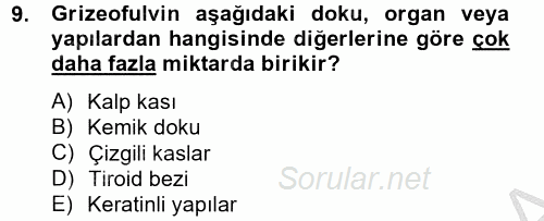 Temel Veteriner Farmakoloji ve Toksikoloji 2014 - 2015 Ara Sınavı 9.Soru