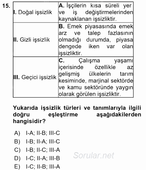 Çalışma Ekonomisi 2 2015 - 2016 Dönem Sonu Sınavı 15.Soru