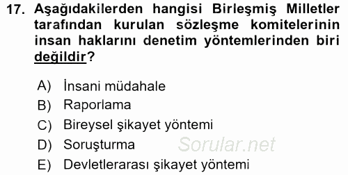 İnsan Hakları ve Demokratikleşme Süreci 2015 - 2016 Ara Sınavı 17.Soru