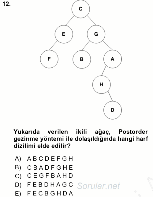 Programlama Ve Algoritmalar 2016 - 2017 Ara Sınavı 12.Soru