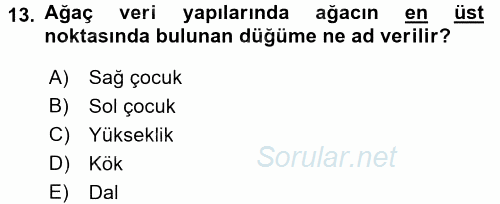 Programlama Ve Algoritmalar 2016 - 2017 Ara Sınavı 13.Soru
