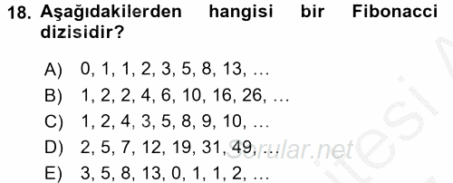 Programlama Ve Algoritmalar 2016 - 2017 Ara Sınavı 18.Soru