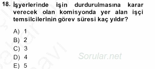 Çalışma Yaşamının Denetimi 2013 - 2014 Ara Sınavı 18.Soru