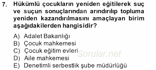 Sosyal Hizmet Kuruluşları 2013 - 2014 Tek Ders Sınavı 7.Soru