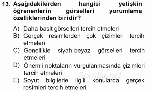 İng. Öğretmenliğinde Öğretim Teknolojileri Ve Materyal Tasarımı 2 2014 - 2015 Tek Ders Sınavı 13.Soru
