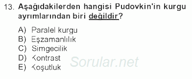 Hareketli Görüntünün Tarihi 2012 - 2013 Tek Ders Sınavı 13.Soru