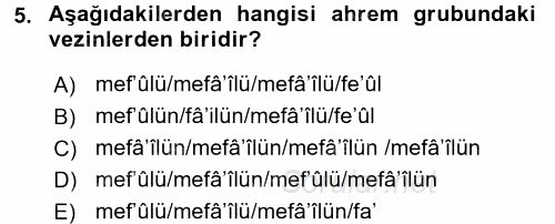 Eski Türk Edebiyatına Giriş: Biçim ve Ölçü 2016 - 2017 Dönem Sonu Sınavı 5.Soru