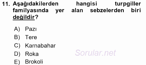 Gıda Coğrafyası 2017 - 2018 Ara Sınavı 11.Soru