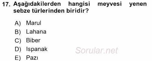 Gıda Coğrafyası 2017 - 2018 Ara Sınavı 17.Soru
