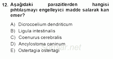 Temel Veteriner Parazitoloji 2014 - 2015 Dönem Sonu Sınavı 12.Soru