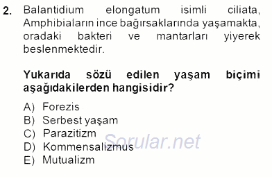 Temel Veteriner Parazitoloji 2014 - 2015 Dönem Sonu Sınavı 2.Soru
