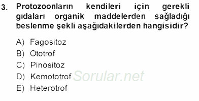 Temel Veteriner Parazitoloji 2014 - 2015 Dönem Sonu Sınavı 3.Soru