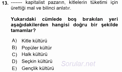 Medya Siyaset Kültür 2017 - 2018 3 Ders Sınavı 13.Soru