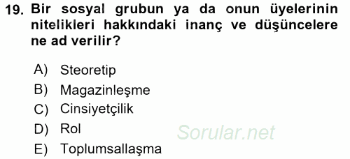 Medya Siyaset Kültür 2017 - 2018 3 Ders Sınavı 19.Soru