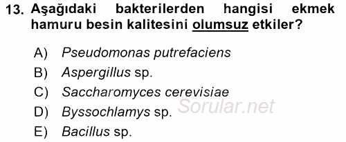 Besin Güvenliği ve Hijyen 2017 - 2018 Ara Sınavı 13.Soru