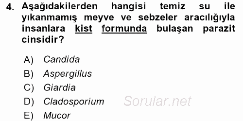 Besin Güvenliği ve Hijyen 2017 - 2018 Ara Sınavı 4.Soru