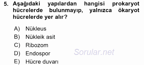 Besin Güvenliği ve Hijyen 2017 - 2018 Ara Sınavı 5.Soru