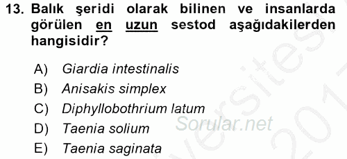 Gıda Güvenliğinin Temel Prensipleri 2016 - 2017 3 Ders Sınavı 13.Soru