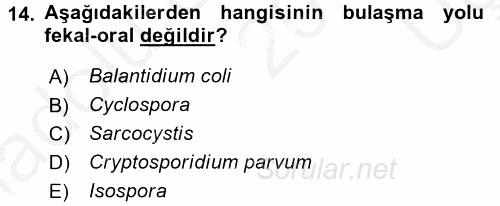 Gıda Güvenliğinin Temel Prensipleri 2016 - 2017 3 Ders Sınavı 14.Soru