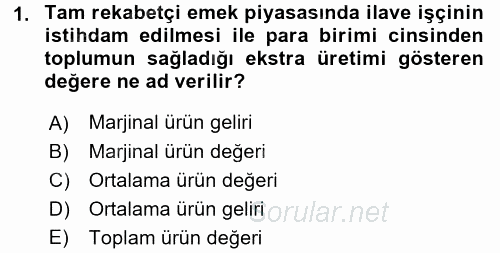Çalışma Ekonomisi 2015 - 2016 Tek Ders Sınavı 1.Soru