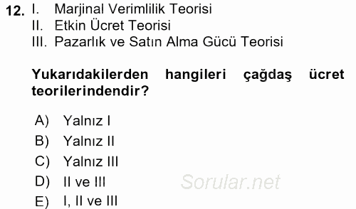 Çalışma Ekonomisi 2015 - 2016 Tek Ders Sınavı 12.Soru