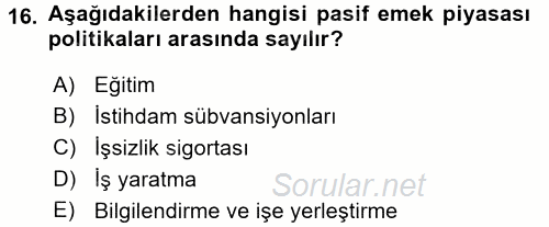 Çalışma Ekonomisi 2015 - 2016 Tek Ders Sınavı 16.Soru