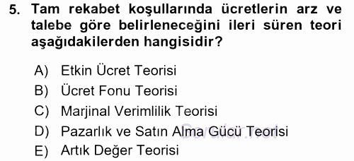 Çalışma Ekonomisi 2015 - 2016 Tek Ders Sınavı 5.Soru