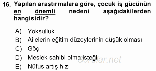 Çocuk Gelişiminde Program 2016 - 2017 Ara Sınavı 16.Soru