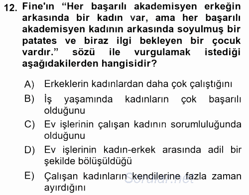 Toplumsal Cinsiyet Sosyolojisi 2016 - 2017 Dönem Sonu Sınavı 12.Soru