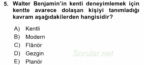 Toplumsal Cinsiyet Sosyolojisi 2016 - 2017 Dönem Sonu Sınavı 5.Soru