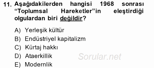 Sosyolojide Yakın Dönem Gelişmeler 2014 - 2015 Tek Ders Sınavı 11.Soru