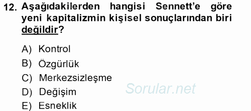 Sosyolojide Yakın Dönem Gelişmeler 2014 - 2015 Tek Ders Sınavı 12.Soru