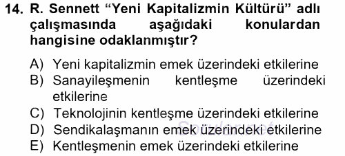 Sosyolojide Yakın Dönem Gelişmeler 2014 - 2015 Tek Ders Sınavı 14.Soru