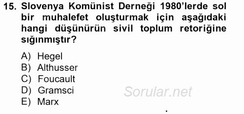 Sosyolojide Yakın Dönem Gelişmeler 2014 - 2015 Tek Ders Sınavı 15.Soru