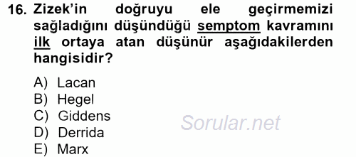Sosyolojide Yakın Dönem Gelişmeler 2014 - 2015 Tek Ders Sınavı 16.Soru