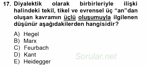Sosyolojide Yakın Dönem Gelişmeler 2014 - 2015 Tek Ders Sınavı 17.Soru