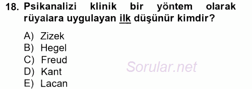 Sosyolojide Yakın Dönem Gelişmeler 2014 - 2015 Tek Ders Sınavı 18.Soru
